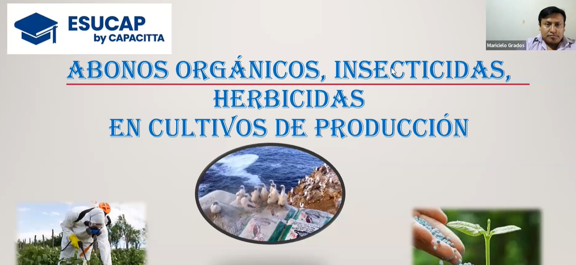 ABONOS ORGÁNICOS, INSECTICIDAS Y HERBICIDAS, REGADÍOS, AGENTES METEREOLÓGICOS